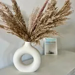 Vista Paraiso ティアス